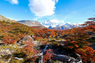 Autumn colors of vegetation around the Laguna Capri with Mount Fitzroy in the background, National Park of Los Glaciares, Argentina