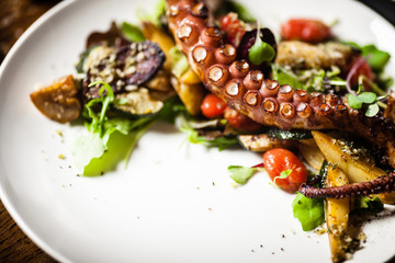 Octopus salad served on a plate in restaurant