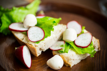 sandwich with cheese, lettuce and red radish on a wooden