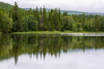 Landscape with the lake and forest in Norway