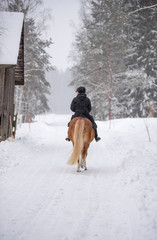 Woman horseback riding in winter