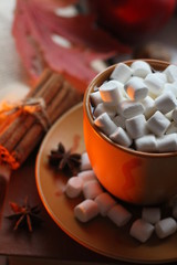 Cocoa with marshmallows and cinnamon sticks