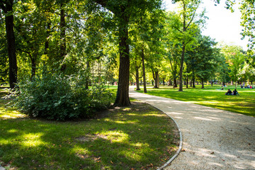 Fototapeta na wymiar The Park on Margaret Island in the River Danube in Budapest is a quiet oasis in the busy city of Budapest in Hungary