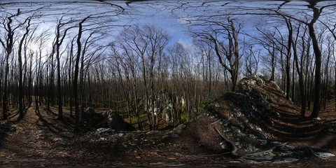 Spring forest HDRI Panorama