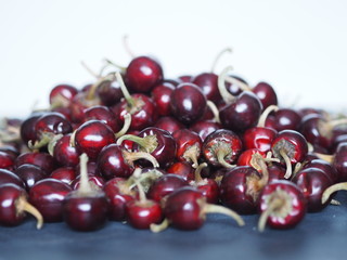 red hot chili peppers on a white background
