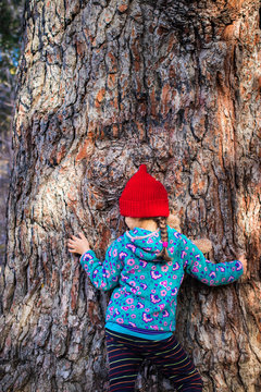 Little young girl in red hat hugs old-growth giant relic tree in forest. Outdoor. Nature care concept.