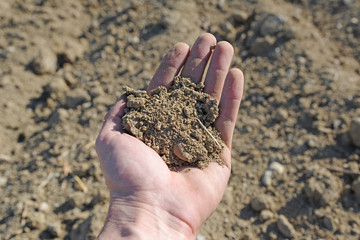 agriculture, a hand holds plowed field land ready to be sown and cultivated