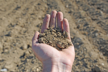 agriculture, a hand holds plowed field land ready to be sown and cultivated
