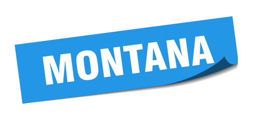 Montana sticker. Montana blue square peeler sign
