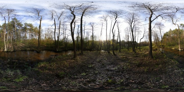 Spring forest HDRI Panorama