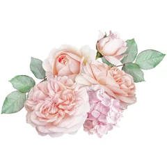 Rolgordijnen Blush pink roses, hydrangea isolated on white background. Floral arrangement, bouquet of garden flowers.  © RinaM