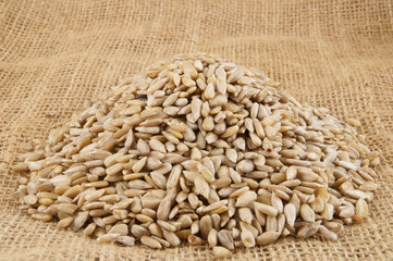Raw sunflower seeds heap on burlap background