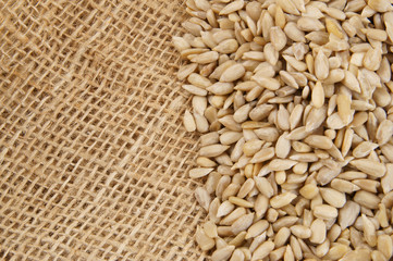 Sunflower seeds on burlap sackcloth