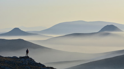 Wild Explorer