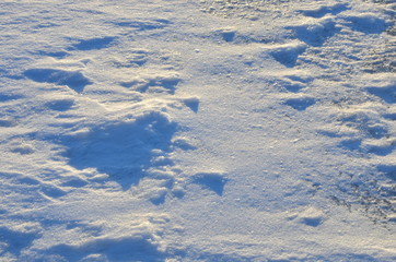 Naklejka premium Close up of white snow background. Snow covered ground on a frosty winter day. The concept of colds and blizzards. Frozen river or lake, pure tone texture