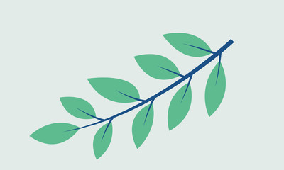 branch with green leaves isolated on white