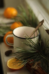 Pine branch on windowsill with empty mug, tangerines and cinnamon