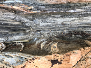 Colored layers of marble, background, stone texture.