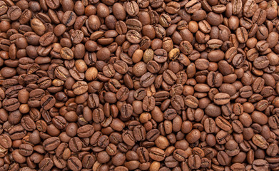 texture of roasted coffee arabica and robusta
