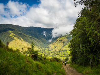 Cocora valley landscape in Colombia
