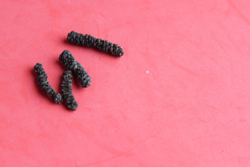 Long peppercorns for cooking and cocktails