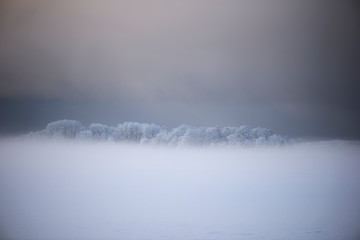 Winter landscape. Snowy trees on white meadow in morning sunlight. Misty winter morning. Scenic frosty nature in Krimulda,Latvia