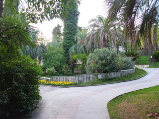 path in park
