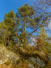 Autumn landscape in Karelia with rocks, overgrown with trees.