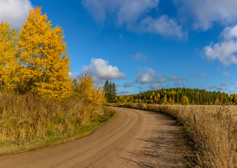 Fototapeta na wymiar Autumn landscape in Karelia with road.
