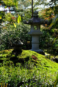 京都大本山天龍寺の石灯籠のある日本庭園