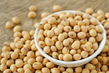 Soy bean in bowl on floor and copy space