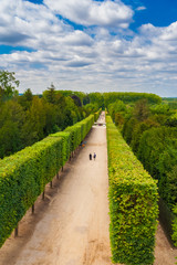 Impressive aerial portrait view of the Bacchus and Saturn alley with tall geometrical formed trees in the Versailles garden on a nice summer day with a blue sky.