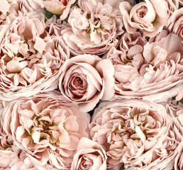 Bouquet of fresh roses, flower bright background.