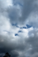 雲