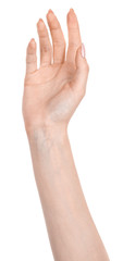 Female caucasian hands  isolated white background showing  gesture holds something or takes, gives. woman hands showing different gestures