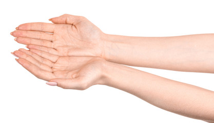 Female caucasian hands  isolated white background showing  gesture holds something or takes, gives. woman hands showing different gestures