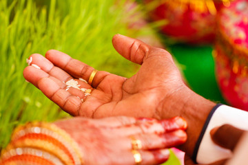 Traditional indian wedding ceremony : groom hand 