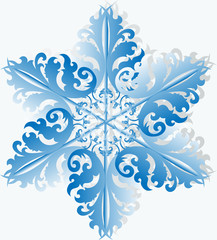 Snowflake on a white background vector illustration