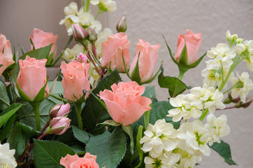 Beautiful soft and gentle bunch of pink roses in soft natural daylight. Roses are a symbol of love and valentines day.