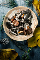 spanish edible mushrooms on a table