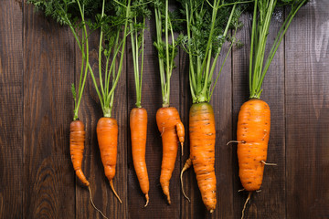 Image with a carrot.