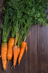 Image with a carrot.