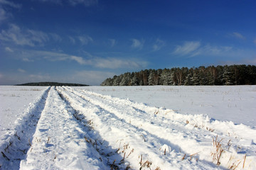 Fototapeta na wymiar Country road in a snowy field