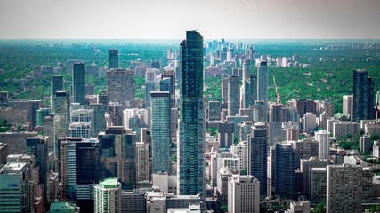 Fototapeta premium Green Toronto Skyline