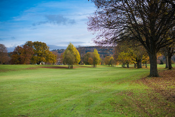 Fototapeta na wymiar Colorful autumn park. Autumn trees with yellow leaves in the autumn park. North Inch, Perth, Scotland