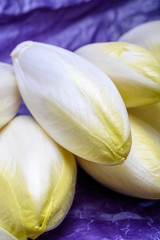 Fresh white belgian endive or chicory heads
