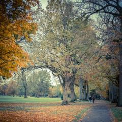 Two elderly people walking in a park in the sunset