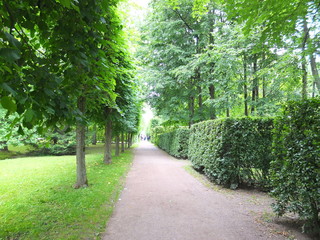 path in park