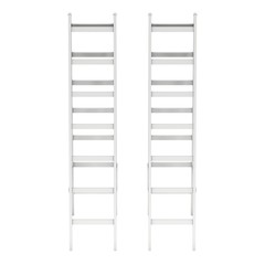 Step ladder. 3d render isolated on white