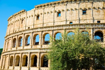 Busch along the Colosseo in Rome